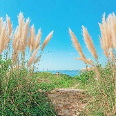 不良率微降，拨备率下行：中信银行十万亿资产的风险平衡术