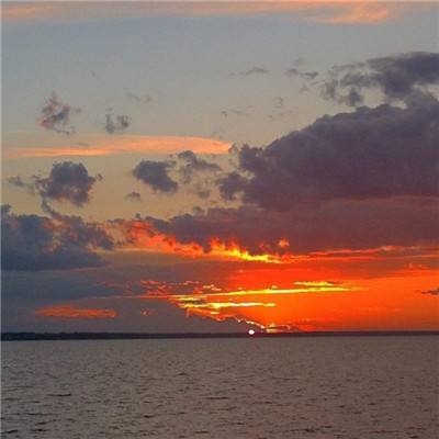 2025年中国科学十大进展