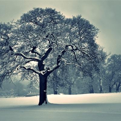 高工对话｜磅旗科技吴小倩：用AI...